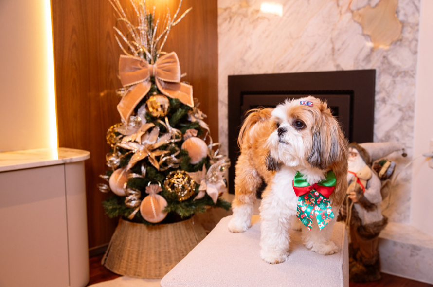 Ressignificando espaços