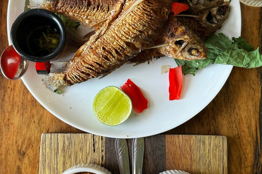Expedição: Manaus