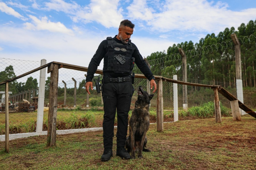 Mohoc: o Cãopeão da América do Sul