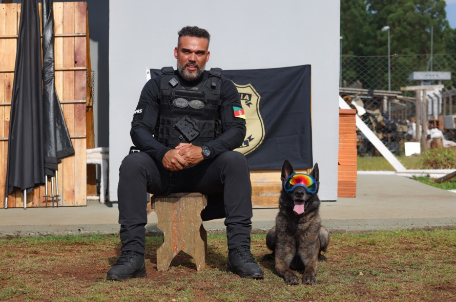 Mohoc: o Cãopeão da América do Sul